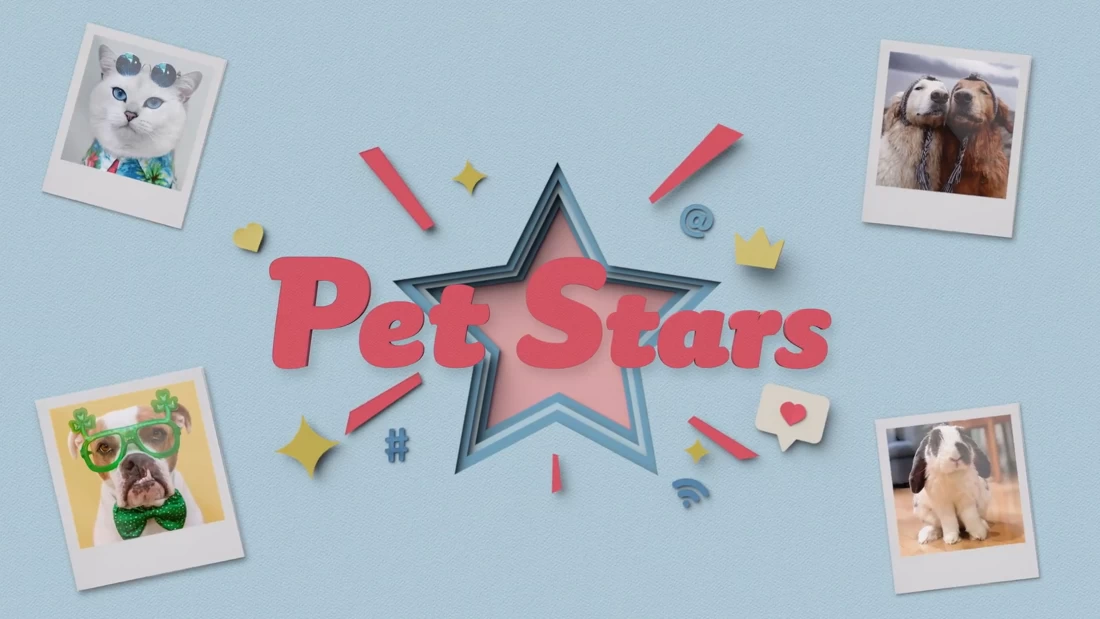 Pet Stars, Reality-show adorável estreia em abril de 2021
