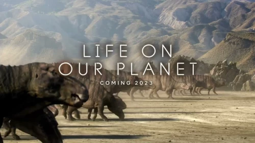 A Vida no Nosso Planeta Azul de Steven Spielberg estreia na Netflix em outubro