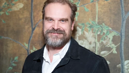 Após Stranger Things, David Harbour quer focar-se em Filmes