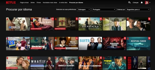 Como pesquisar filmes e séries na Netflix por Idioma?
