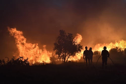 "Wild Fire", série de Incêndios Florestais vai estrear na OPTO SIC