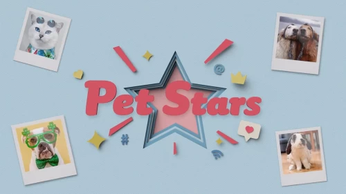 Pet Stars, Reality-show adorável estreia em abril de 2021