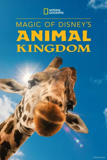 a-magia-do-disneys-animal-kingdom