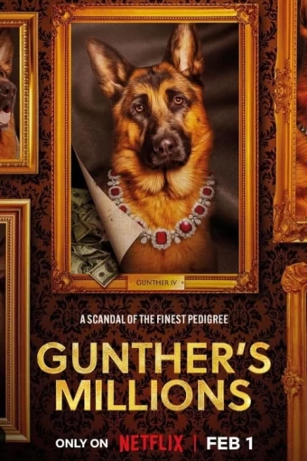 A Riqueza de Gunther