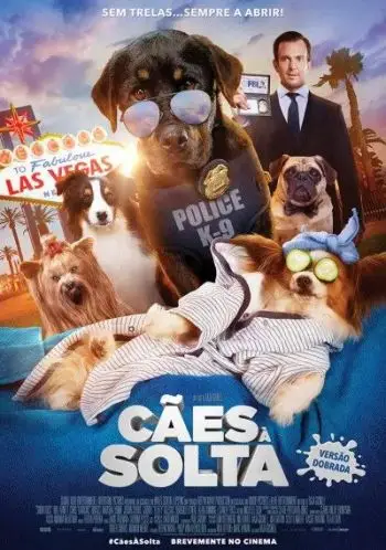 Cães à Solta