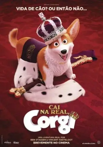 Cai na Real, Corgi