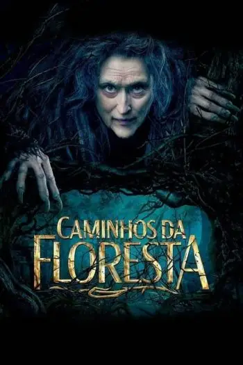 caminhos-da-floresta