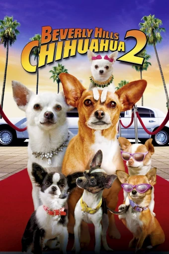 O Chihuahua de Beverly Hills 2