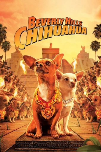 o-chihuahua-de-beverly-hills