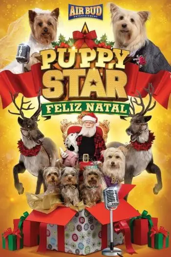 o-natal-das-estrelas-caninas