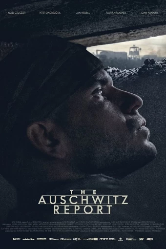 Relatorio De Auschwitz