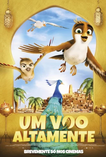 um-voo-altamente
