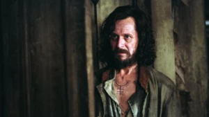 Gary Oldman diz "Graças a Deus" por "Harry Potter" e "Cavaleiro das Trevas" porque "salvaram-me".