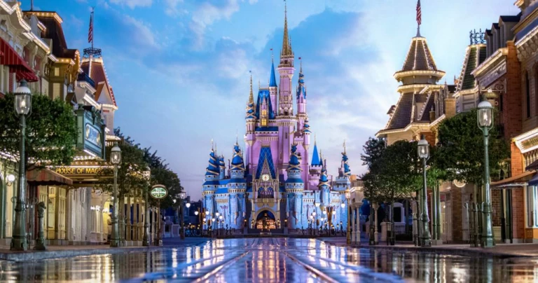 Urso Selvagem à solta na Disney World obriga ao fecho de diversas atrações
