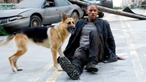 Will Smith quebra silêncio sobre regresso em 'I Am Legend 2'